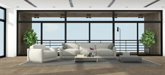 Large minimalist living room