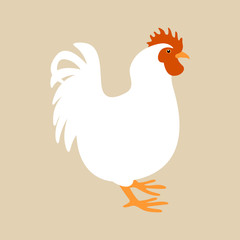 white   rooster  bird vector illustration flat style