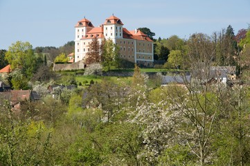 Fototapeta premium Castle and town Valec in western Bohemia, Czech republic