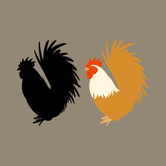   rooster  bird vector illustration flat style  silhouette black