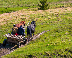 Pylypets, Ukraine - May 01, 2017: traffic in mountainous rural area in summer. wooden cart with two...