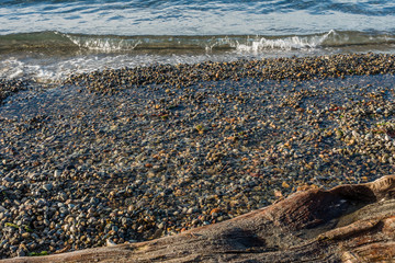 Shoreline Pebbles