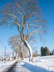 winterliche Landschaft im Dorf