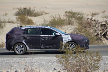 erlkönig nahe dem deathvalley usa