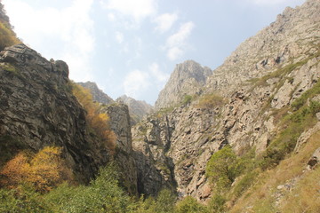 Nature in Georgia
