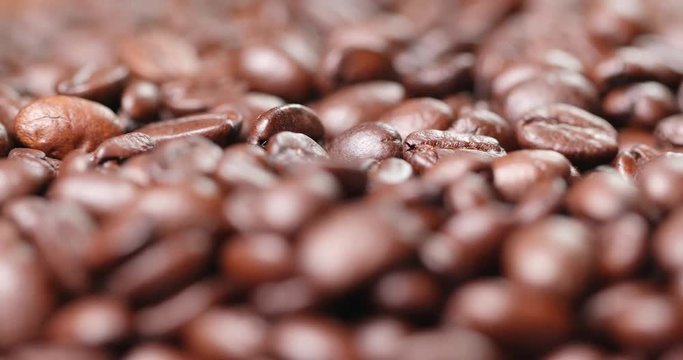 Coffee bean in rotation