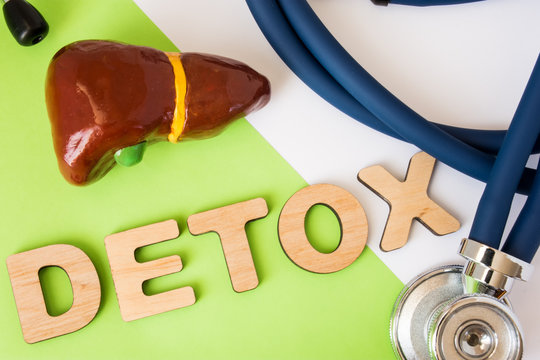 Liver detox concept photo. Word detox of volumetric letters is near 3D liver model and  medical stethoscope. Medical diet program for detoxification and cleanse of biliary system for women and men