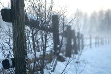 old fence on a misty winter day