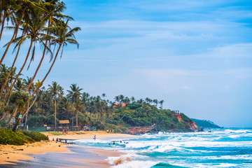 Tropical beach with palm trees. Sri Lanka