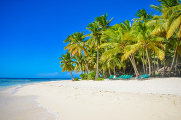 Untouched tropical beach in Sri Lanka