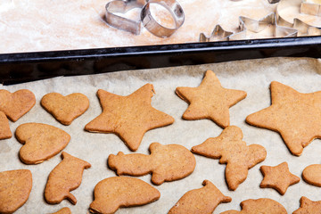 Preparing gingerbread cookies for Christmas. Various cookie shapes