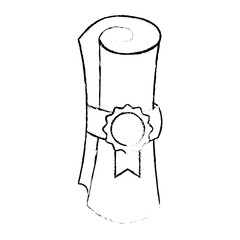 winner diploma rolled with medal vector illustration design