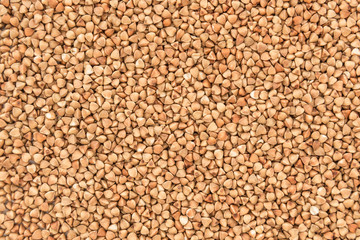 Buckwheat Background