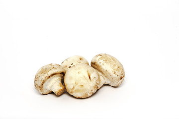 Mushrooms champignons isolated on white background.
