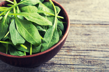 fresh green baby spinach