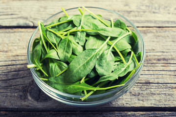 fresh green baby spinach