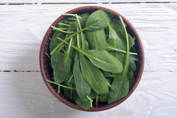 fresh green baby spinach