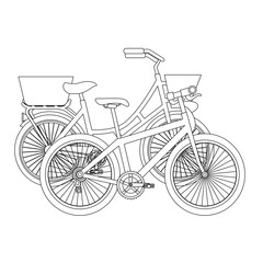 antique bicycle with basket and racing bike vector illustration design