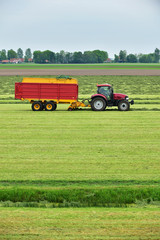 Fototapeta premium Tractor pulling a Forage wagon and collecting cutted hay silage into a self-loading silage wagon in a Dutch polder.