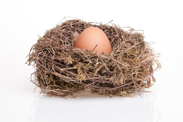 Eggs isolated on white