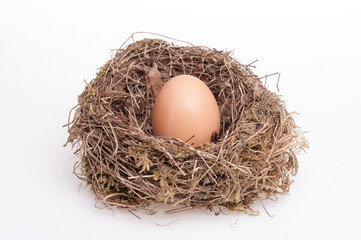 Eggs isolated on white