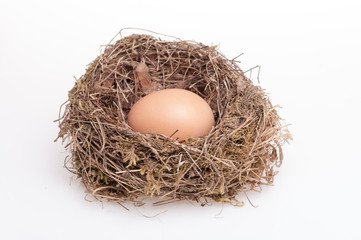 Eggs isolated on white