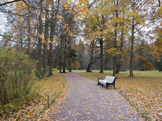 Beautiful autumn park. Autumn in Oranienbaum.