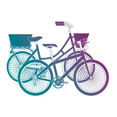antique bicycle with basket and racing bike vector illustration design