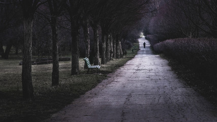 A lonely man passing by an empty bench in a park.