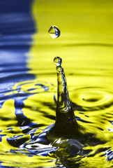 Water drop falling in to a pool of water