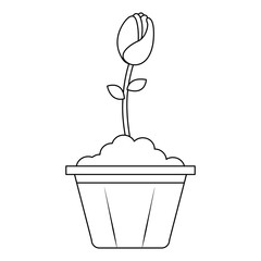 beautiful rose in pot vector illustration design