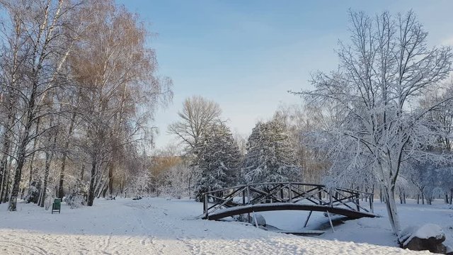 First snow in the city park with a bridge on a sunny day