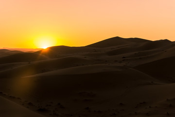 Fototapeta na wymiar desert sand dune with sunrise in morning