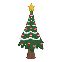 Christmas tree pine