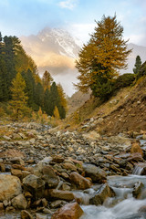 Sunrise on mountain with river and golden trees.