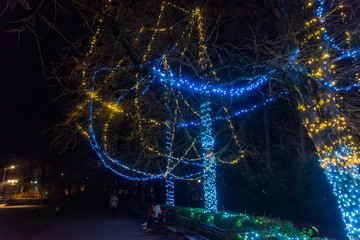 Novi Sad, Serbia December 16, 2017: Danube Park decorated with New Year's Eve