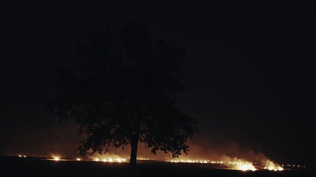 Burning fields in night time