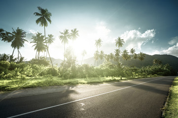 Fototapeta premium empty road in jungle of Seychelles islands