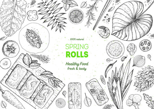 Asian food menu design template. Spring rolls and ingredients for spring rolls vector illustration. Vietnamese food top view frame. Vintage hand drawn sketch vector illustration. Engraved image.