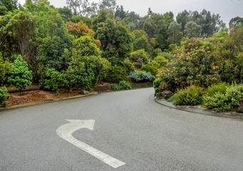 Rainy day in the Park Wilson.  Australia.