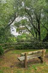 Rainy day in the Park Wilson.  Australia.