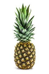 Ripe whole pineapple isolated on white background