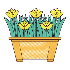 beautiful flowers cultivated in pot vector illustration design