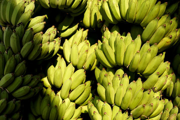 Pile of Bananas - 185179783