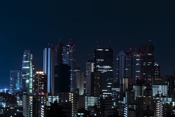 Fototapeta premium shinjuku