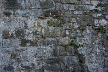 Castle wall constructed with different shaped stone bricks