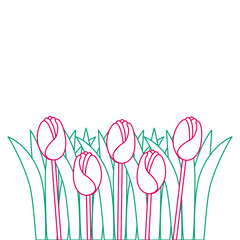 beautiful roses cultivated icon vector illustration design