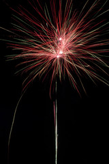 Golden and red colorful holiday fireworks on the black sky background.