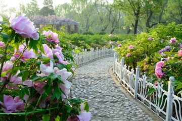 Storybook garden path. Green and nature.