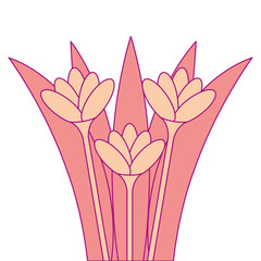 beautiful flowers cultivated icon vector illustration design